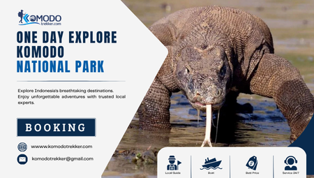 One Day Explore Komodo National Park