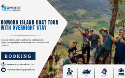 Komodo Island Boat Tour with Overnight Stay from Labuan Bajo