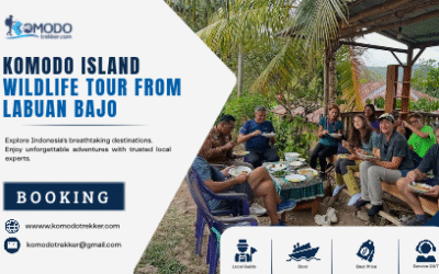Komodo Island Wildlife Tour from Labuan Bajo for Nature Encounters