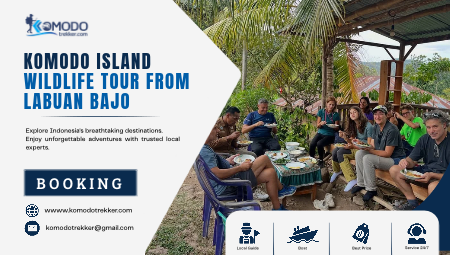 Komodo Island Wildlife Tour from Labuan Bajo