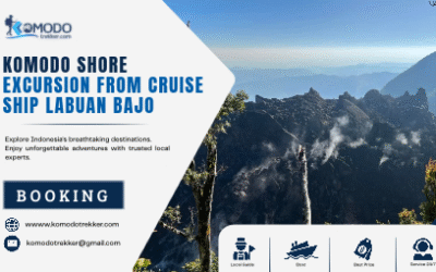 Komodo Shore Excursion From Cruise Ship Labuan Bajo Guide