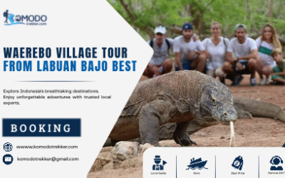 Waerebo Village Tour From Labuan Bajo Best Planning Guide