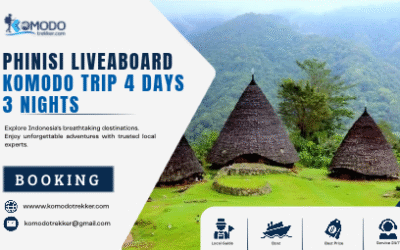Phinisi Liveaboard Komodo Trip 4 Days 3 Nights Guide