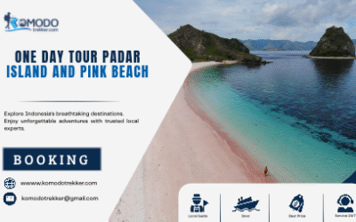 One Day Tour Padar Island And Pink Beach Guide