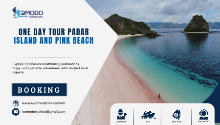 One Day Tour Padar Island And Pink Beach Guide
