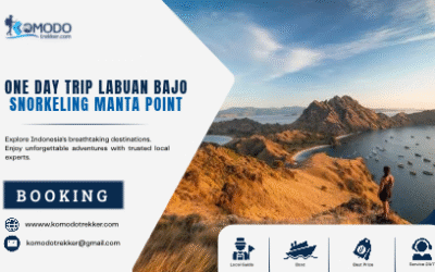 One Day Trip Labuan Bajo Snorkeling Manta Point Guide