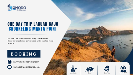 One Day Trip Labuan Bajo Snorkeling Manta Point